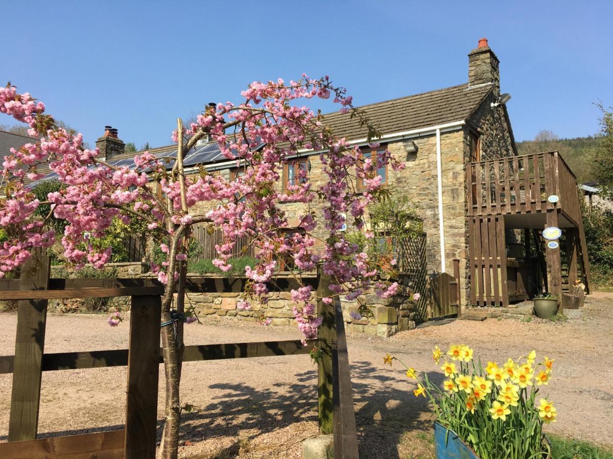 Tunnel Cottages At Blaen-Nant-Y-Groes Farm Aberdare Exteriör bild