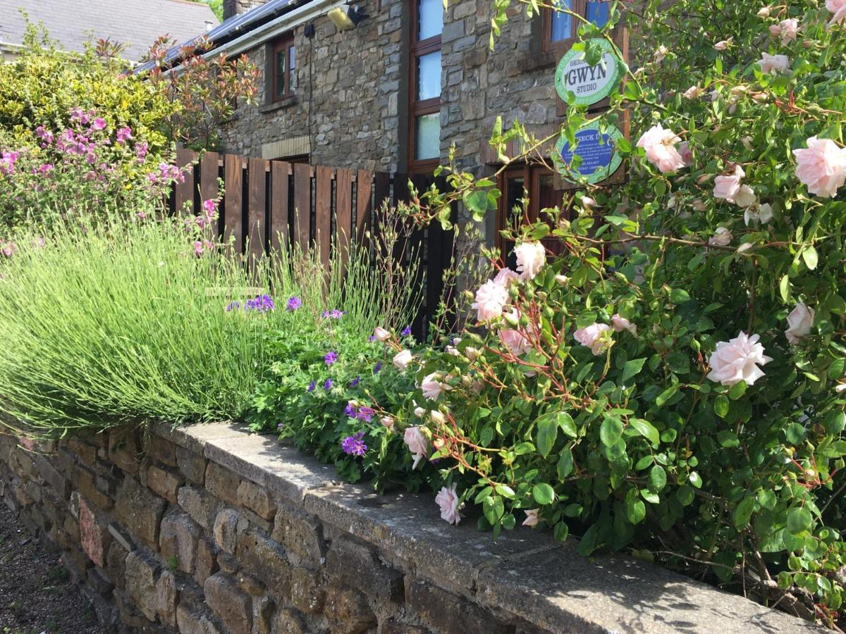 Tunnel Cottages At Blaen-Nant-Y-Groes Farm Aberdare Rum bild